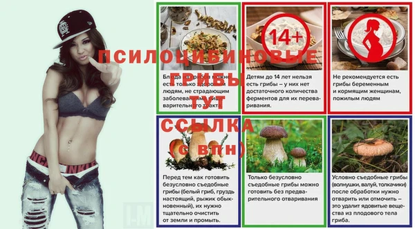 тгк Мегион