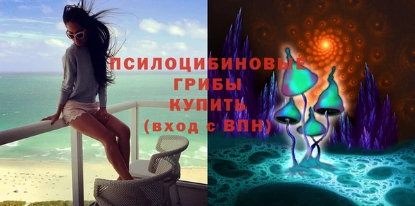 тгк Мегион