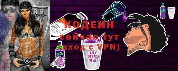 хмурый Пестово
