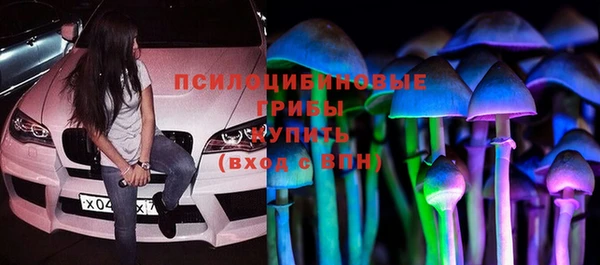 тгк Мегион