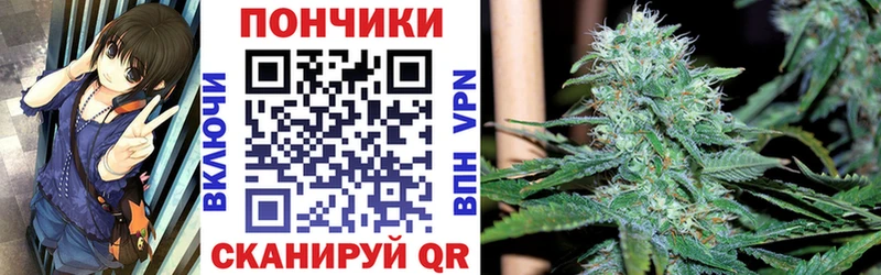 Шишки марихуана SATIVA & INDICA  что такое наркотик  Сухиничи 